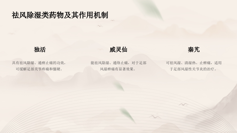 中药泡足中医药文化知识宣传讲座中医养生技术操作ppt模板10