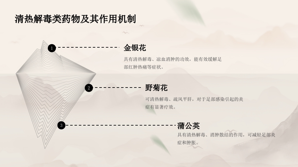 中药泡足中医药文化知识宣传讲座中医养生技术操作ppt模板9