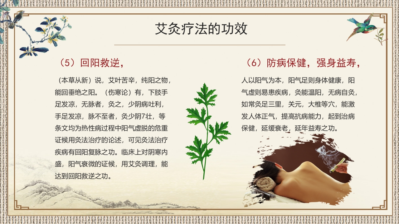 中医护理ppt课件中医药文化知识宣传讲座中医艾灸ppt模板8