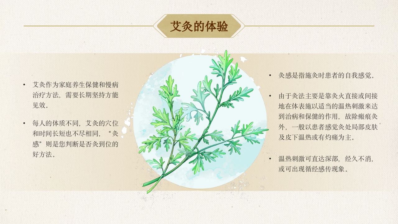 艾灸养生，健康相伴7