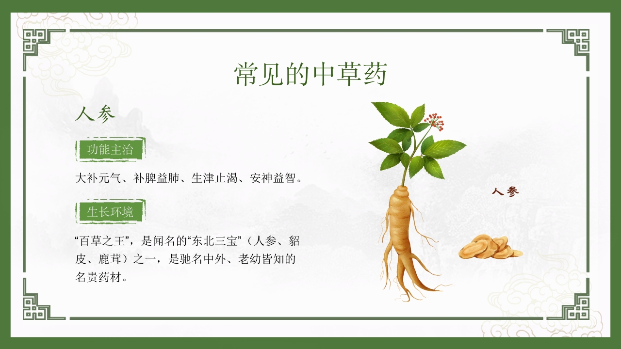 神奇中草药中医药文化走进日常PPT10