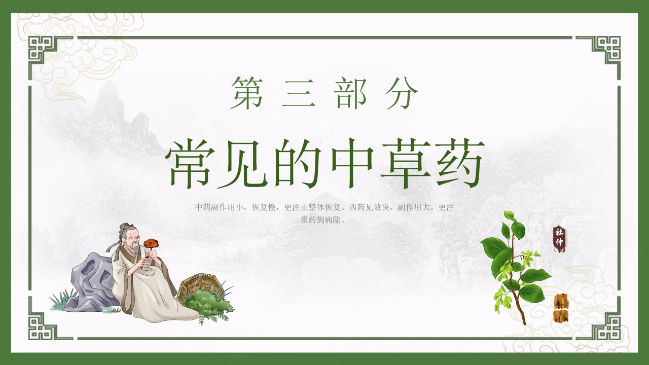 神奇中草药中医药文化走进日常PPT7