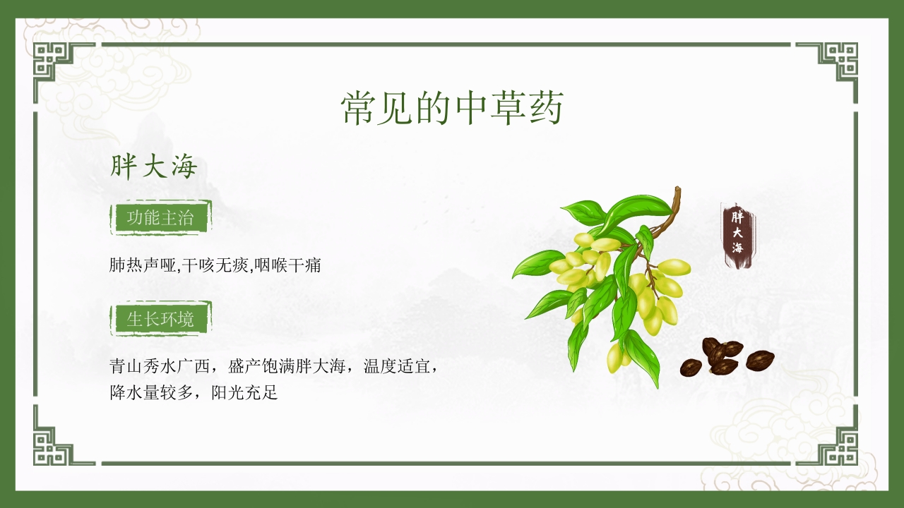 神奇中草药中医药文化走进日常PPT8