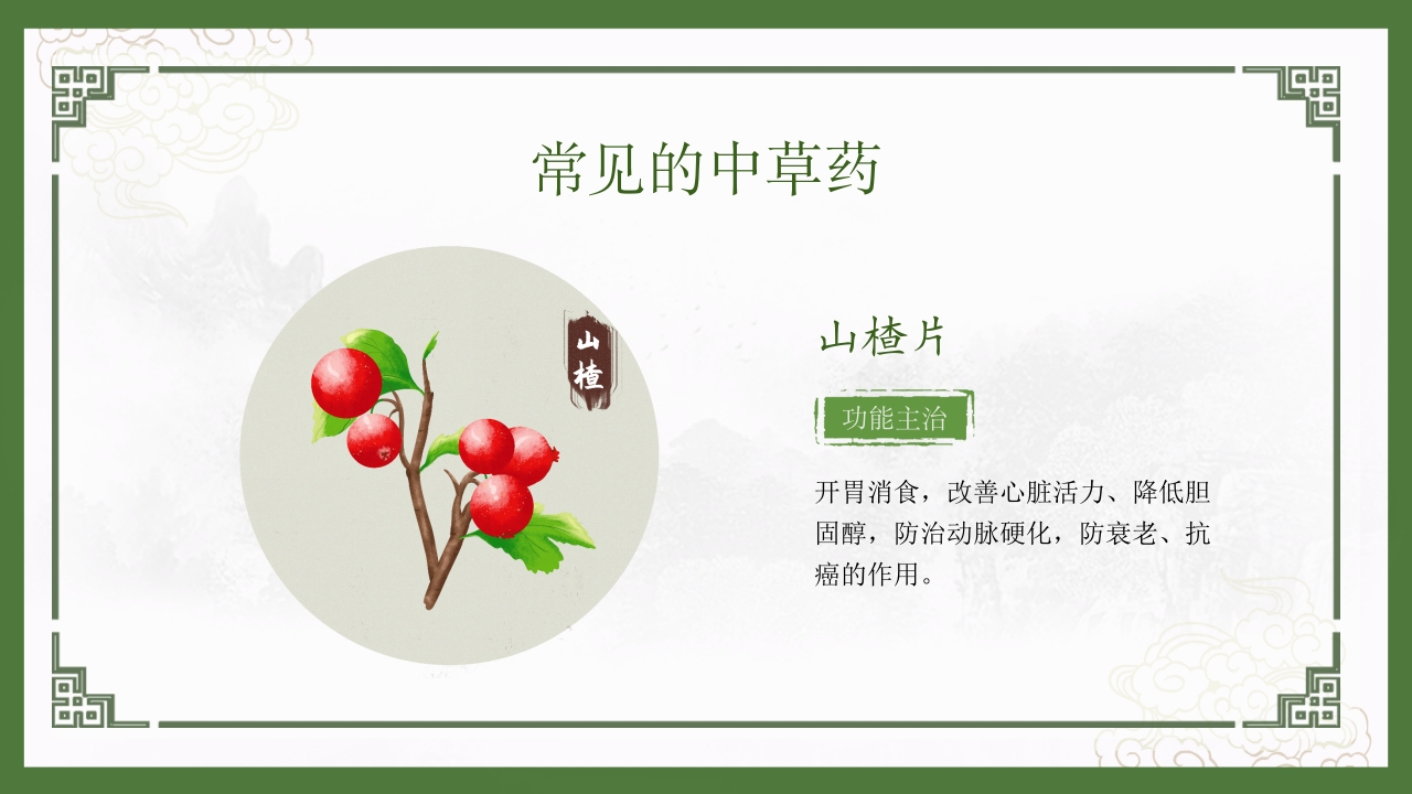 神奇中草药中医药文化走进日常PPT9