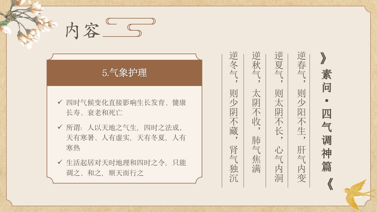 中医护理常规中医护理ppt课件中医药文化知识宣传讲座中医养生技术操作ppt模板7