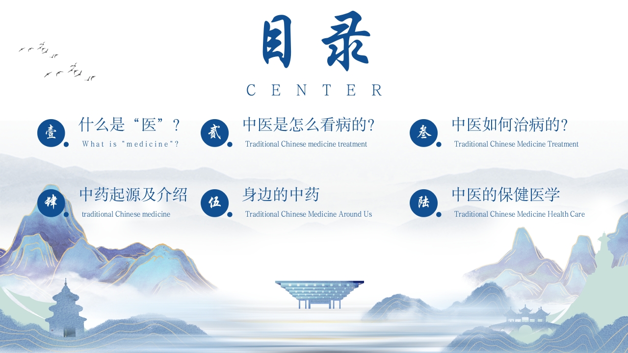 祖国的传统医学传统医药学中医药大会PPT模板2