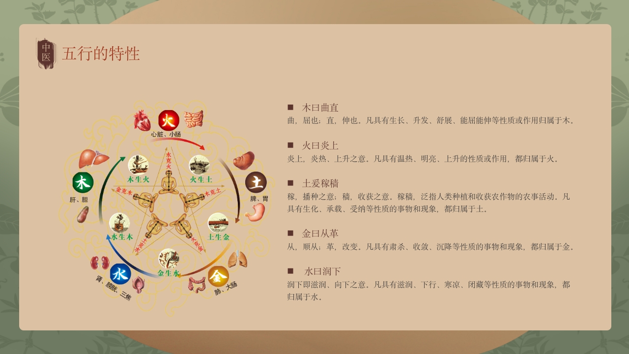 中医护理中医药文化知识宣传讲座中医五行学说ppt课件5
