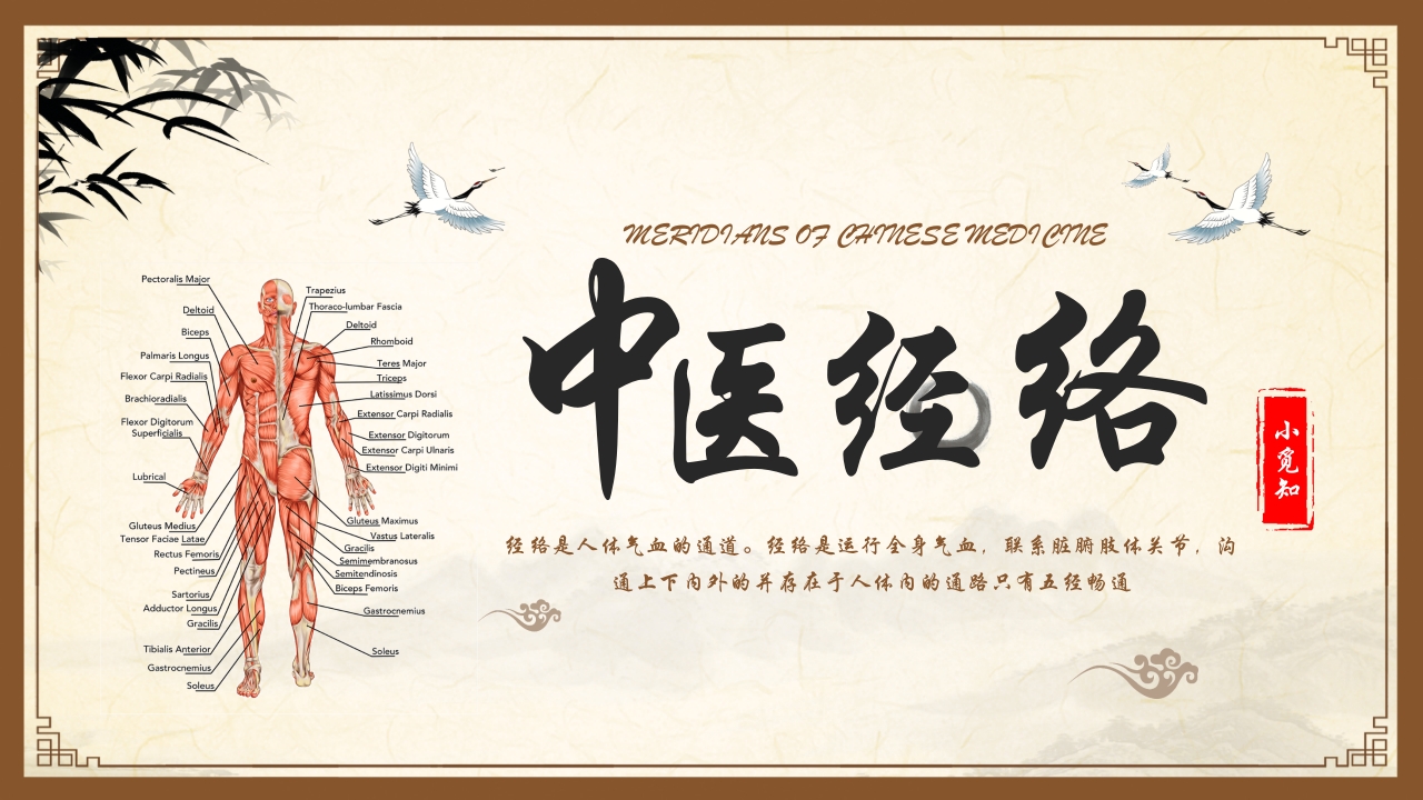 中医护理中医药文化知识宣传讲座中医经络ppt模板1