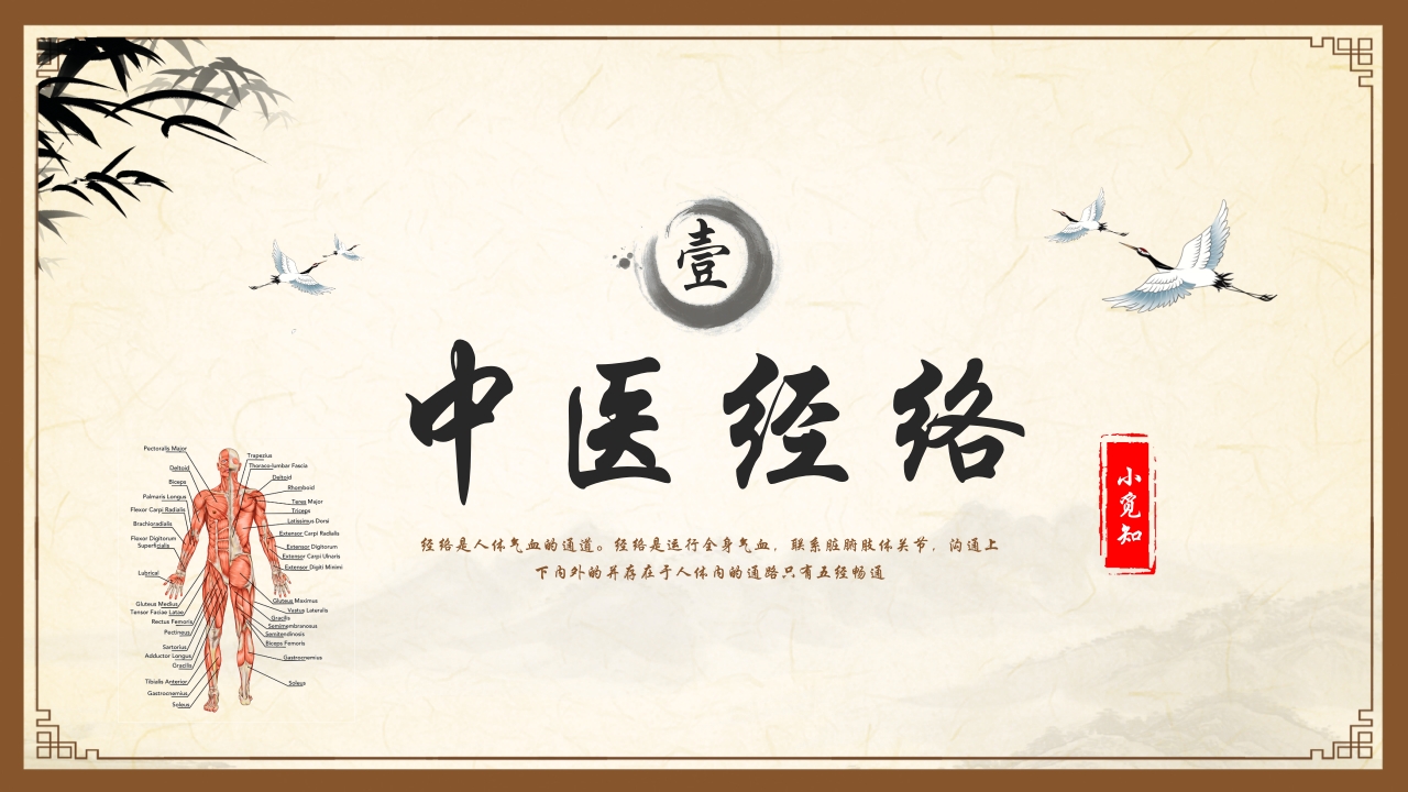 中医护理中医药文化知识宣传讲座中医经络ppt模板3