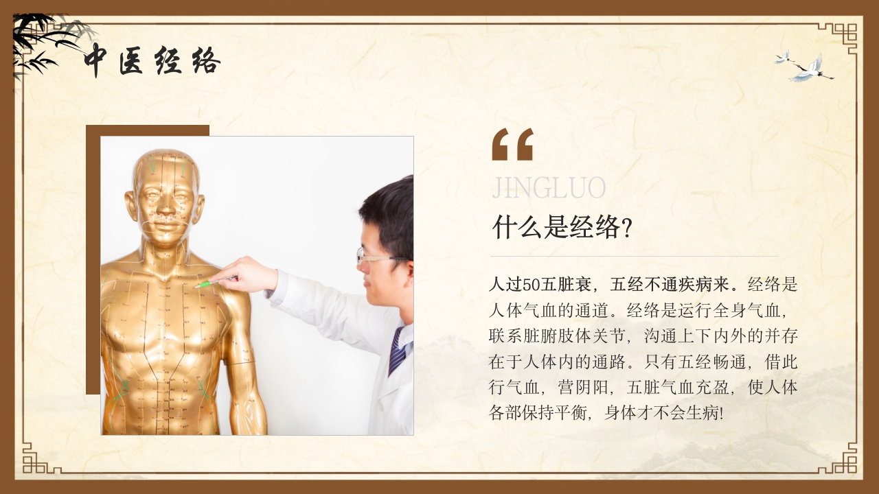 中医护理中医药文化知识宣传讲座中医经络ppt模板5