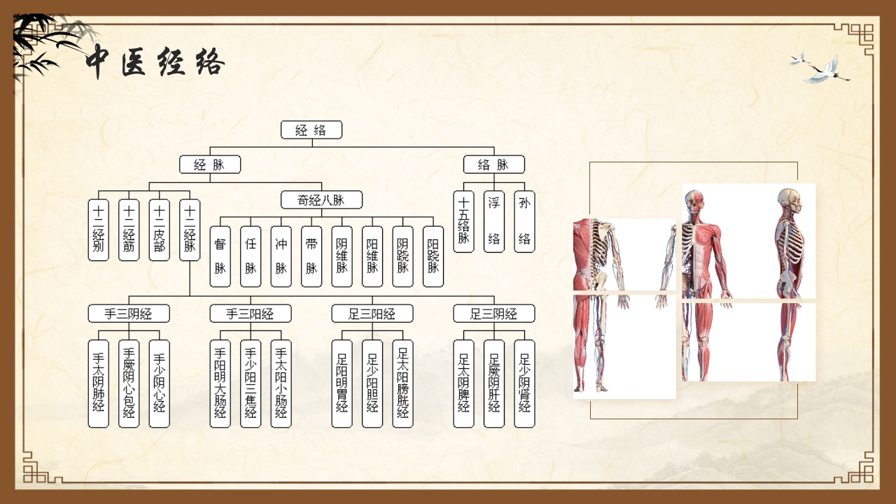中医护理中医药文化知识宣传讲座中医经络ppt模板6