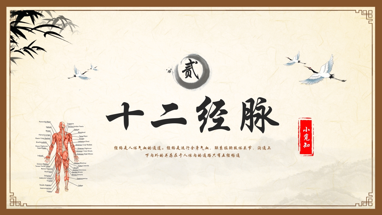 中医护理中医药文化知识宣传讲座中医经络ppt模板7