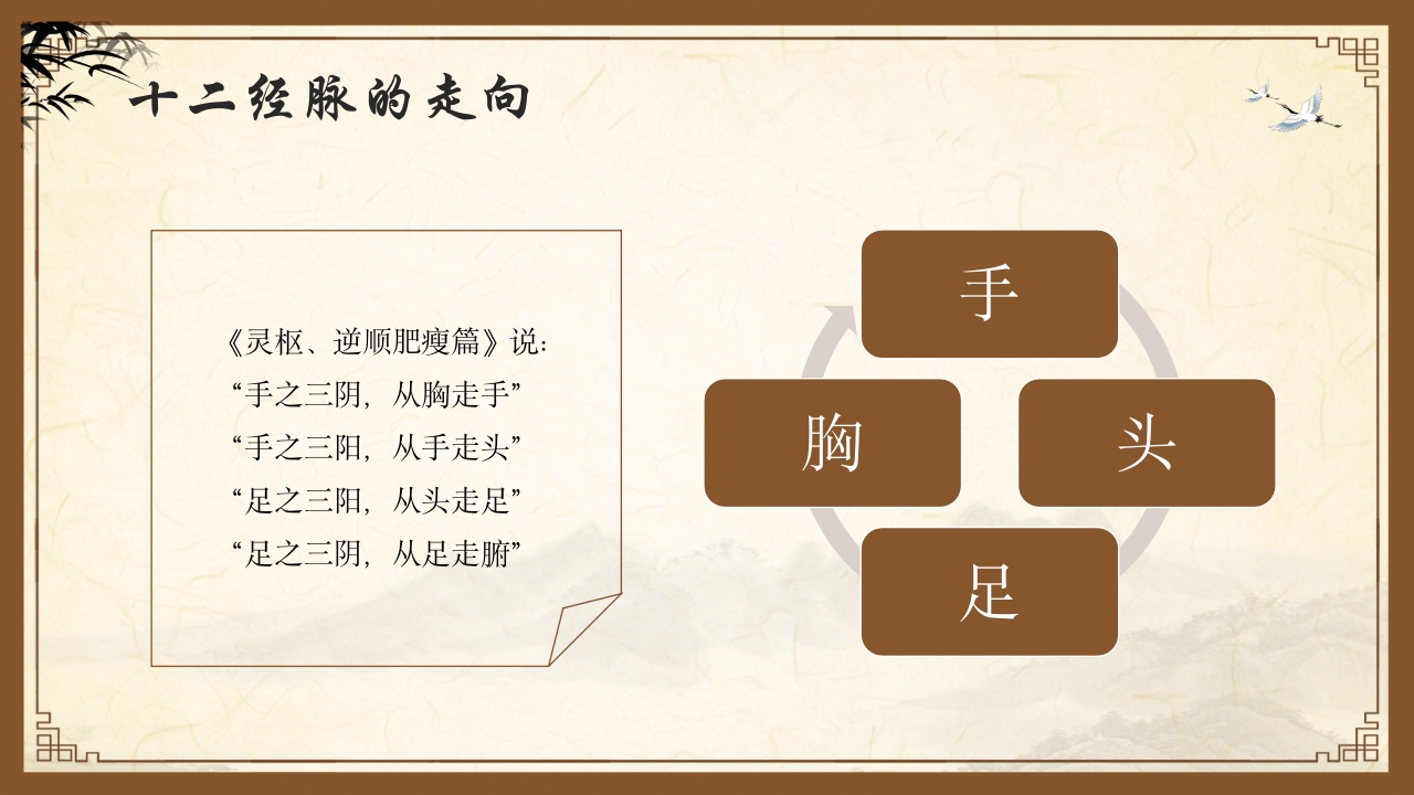 中医护理中医药文化知识宣传讲座中医经络ppt模板8