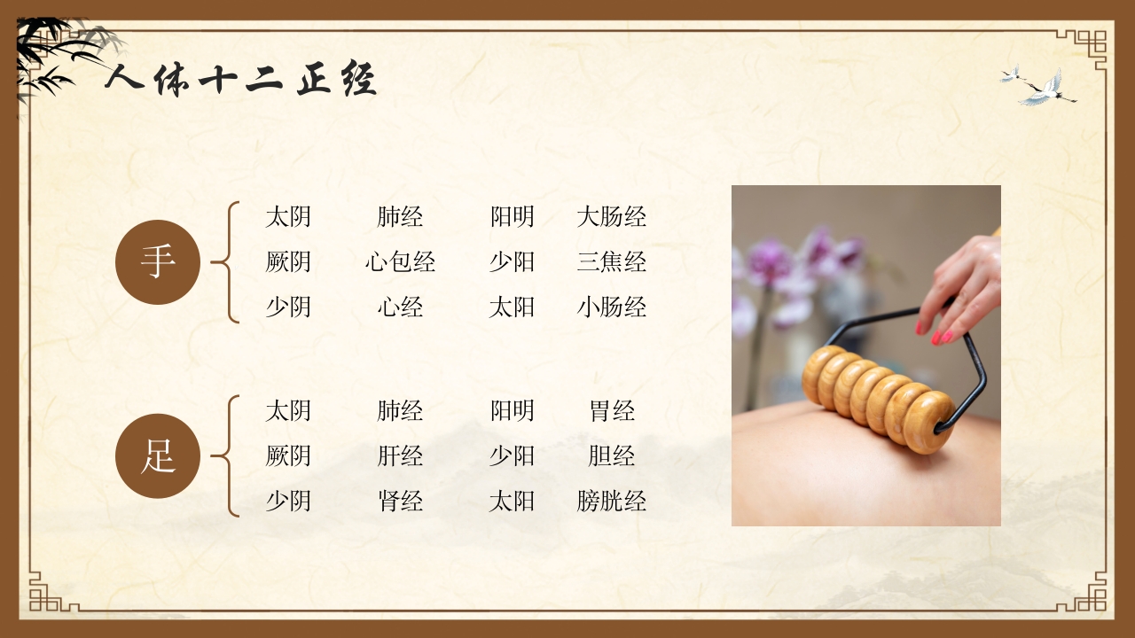 中医护理中医药文化知识宣传讲座中医经络ppt模板9