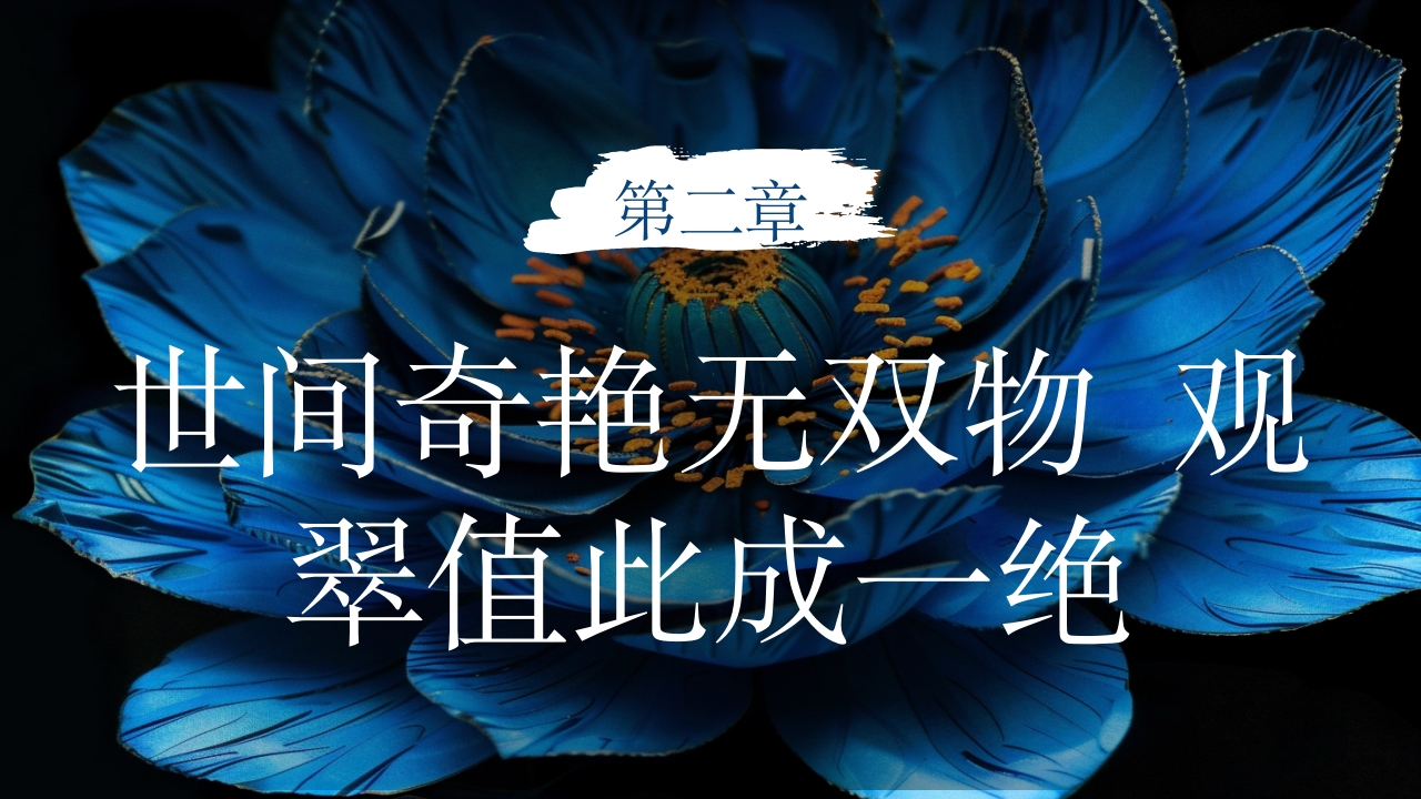 中国非物质文化遗产点翠5