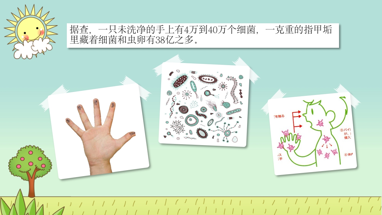 中小学生养成良好的个人卫生习惯主题班会课件PPT7