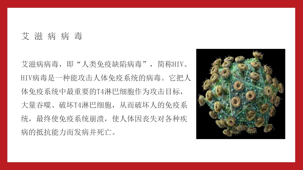 小学高中大学预防艾滋病及性教育主题班会PPT10