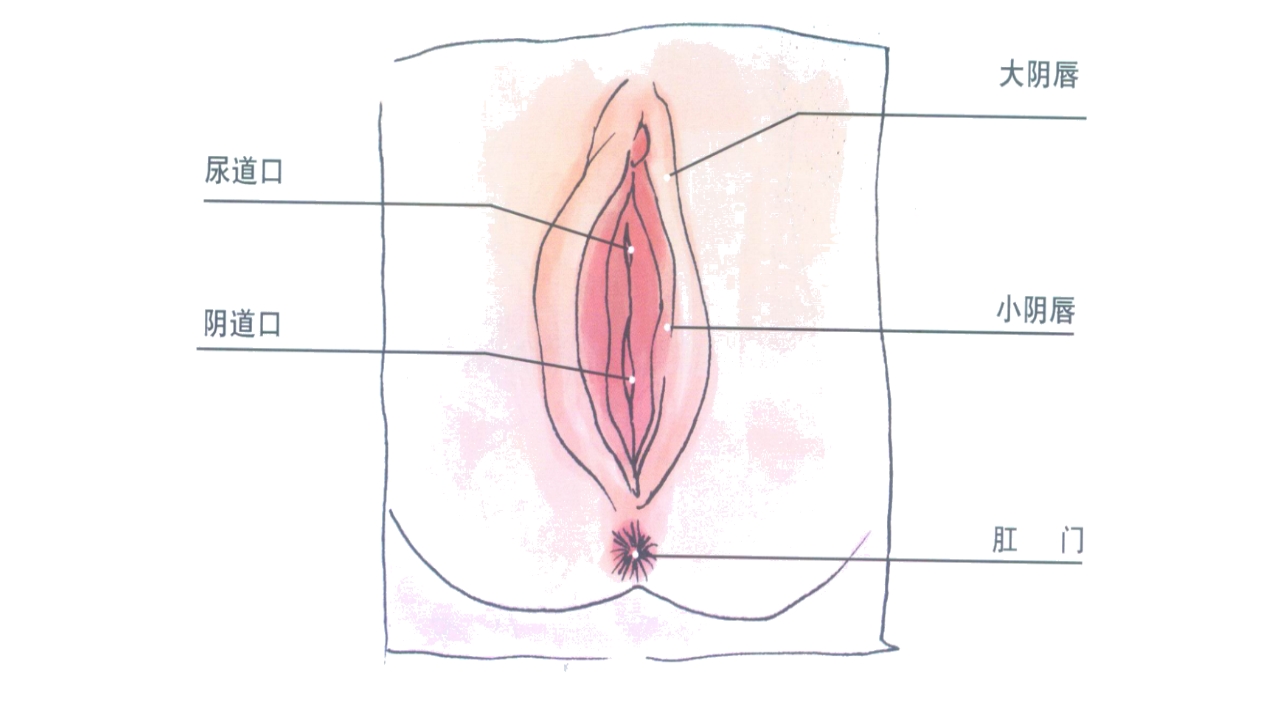 听鼠小弟讲故事青少年防性侵教育主题班会课件PPT6
