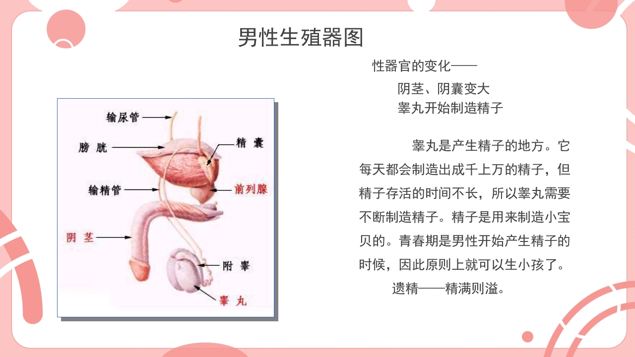 小学生青少年心理健康教育课主题班会PPT5