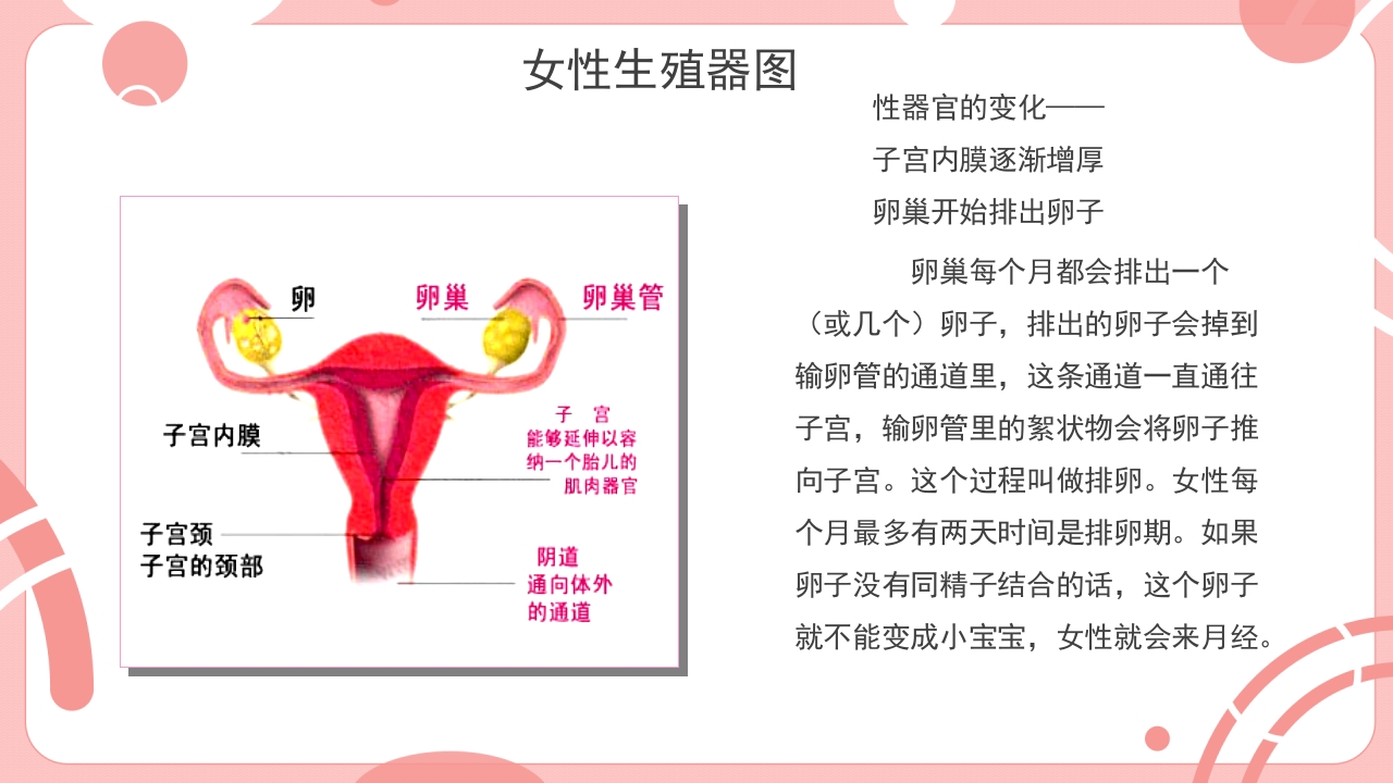 小学生青少年心理健康教育课主题班会PPT8