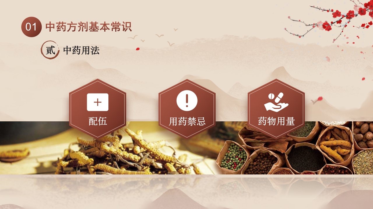 中医用药护理健康美好生活10