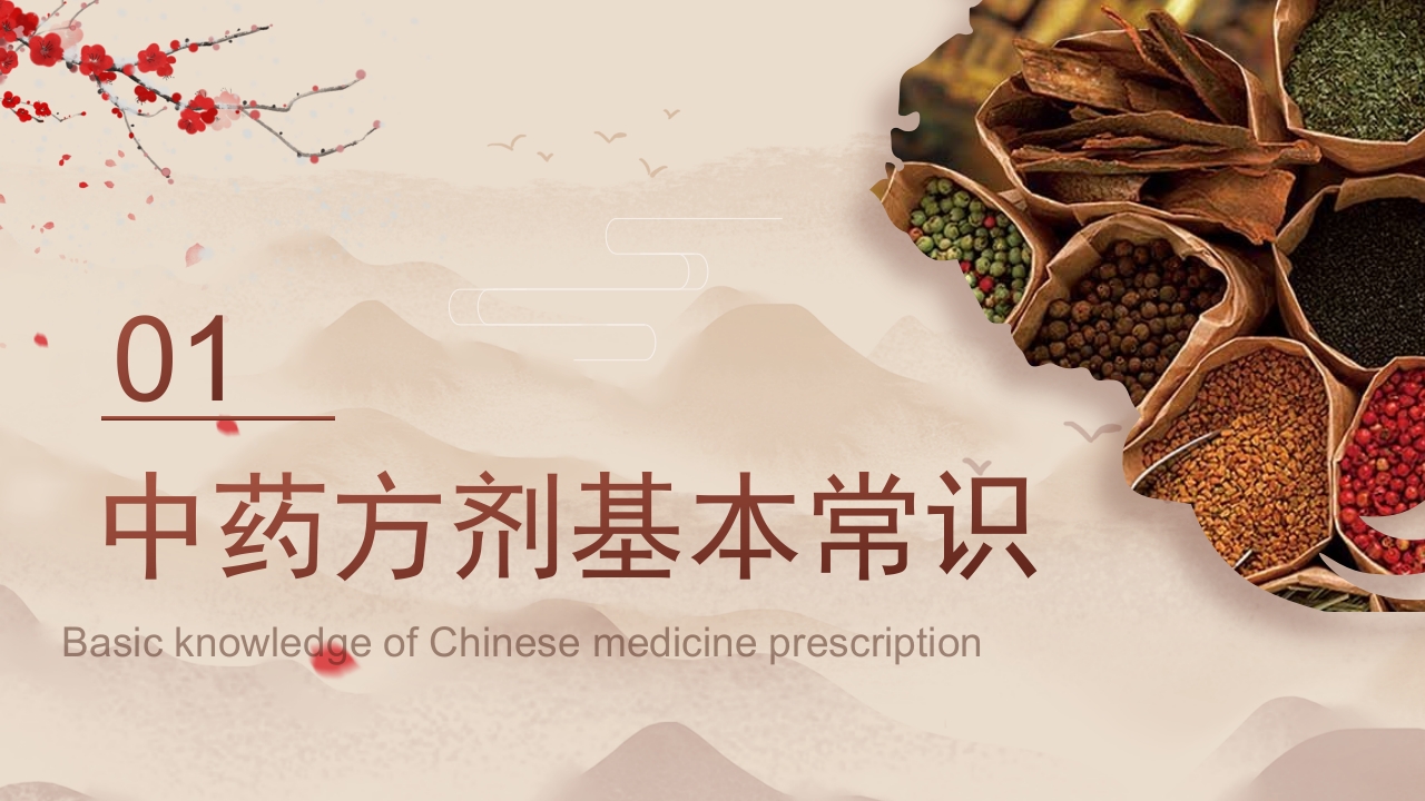 中医用药护理健康美好生活3