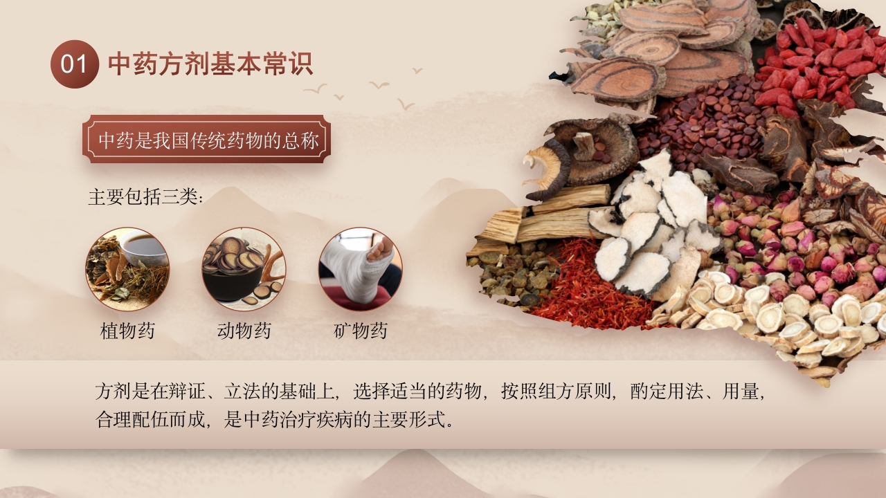 中医用药护理健康美好生活4