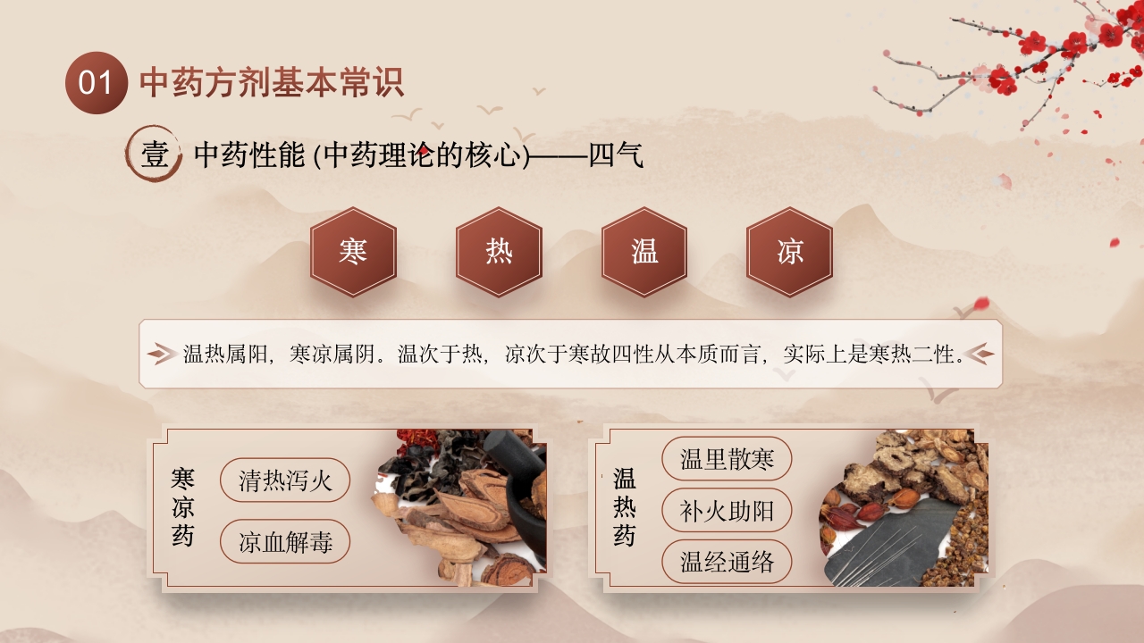 中医用药护理健康美好生活5