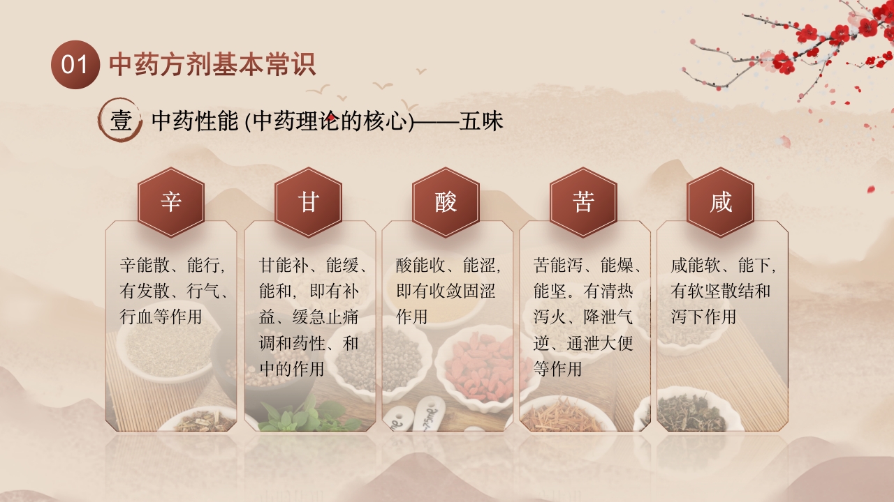 中医用药护理健康美好生活6