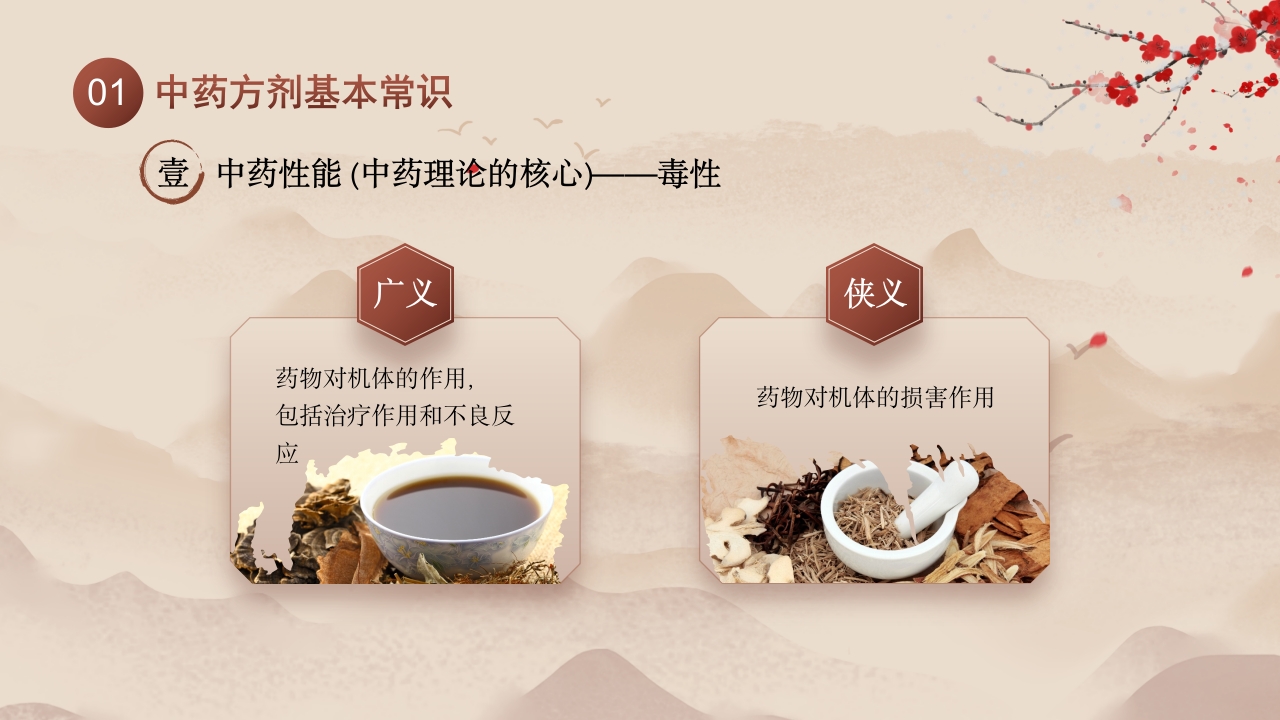 中医用药护理健康美好生活9