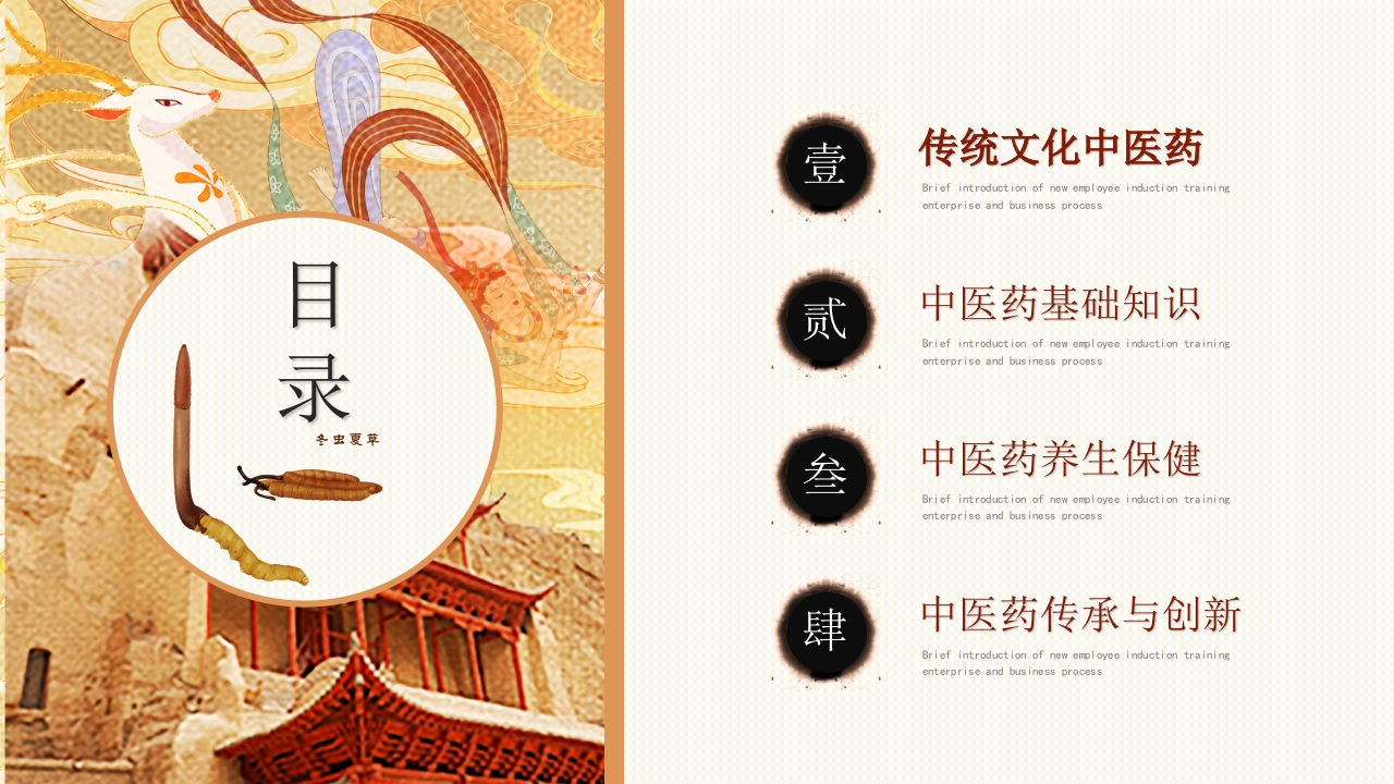 中医药宣传讲座2