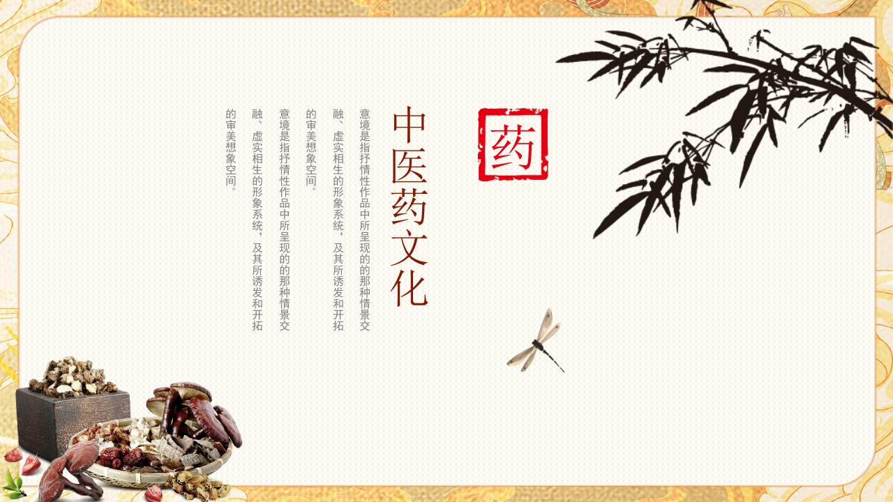 中医药宣传讲座4