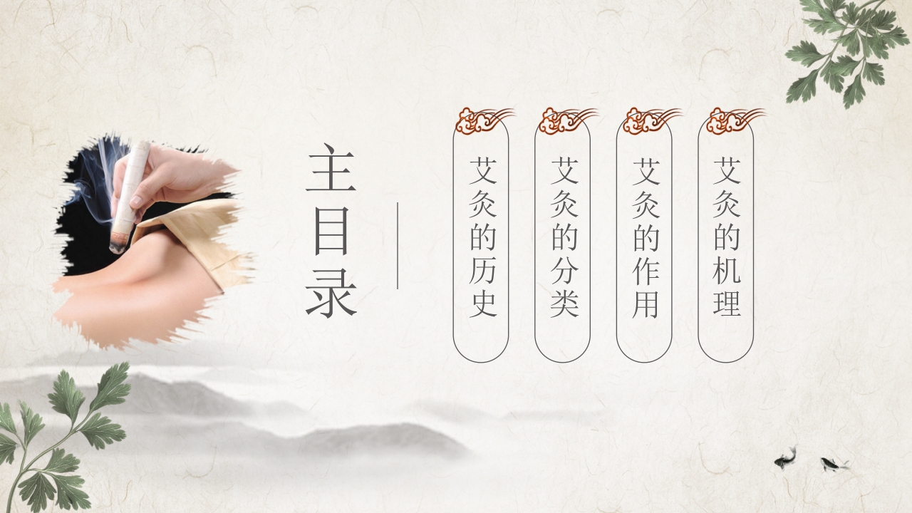 中医养生之中医艾灸2