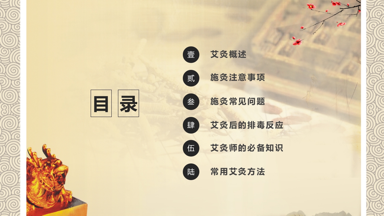 中医养生之艾灸2