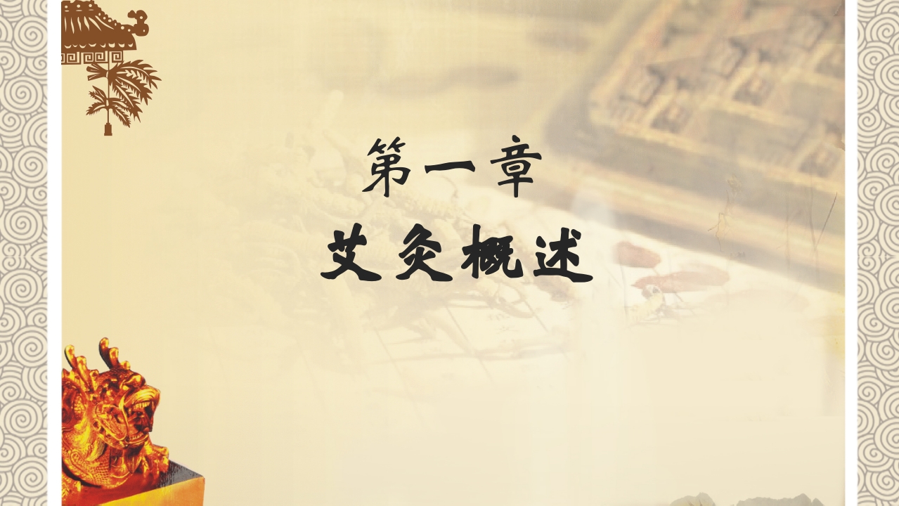 中医养生之艾灸3