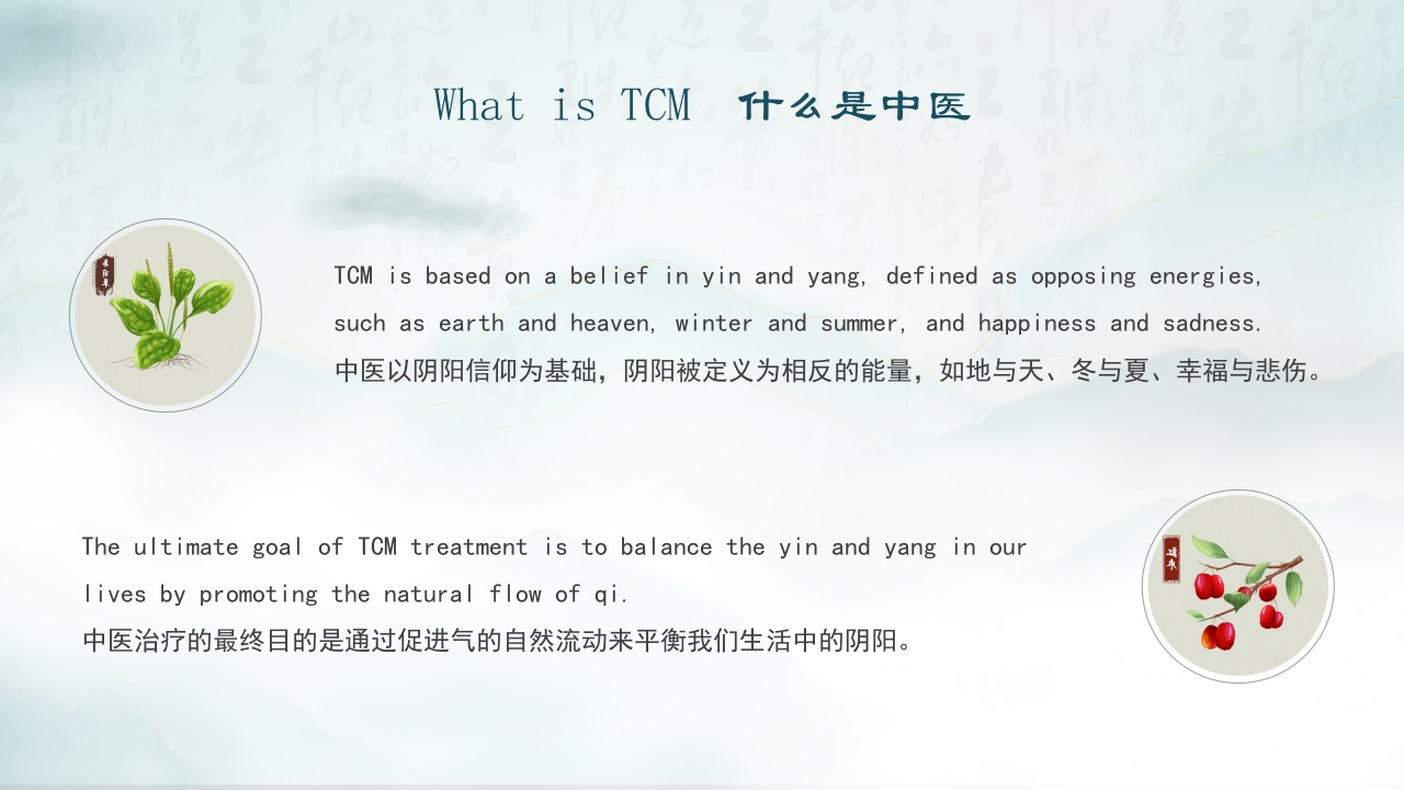 中医文化英文介绍5