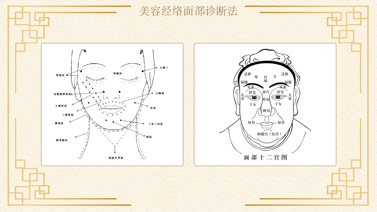中医经络与美容5