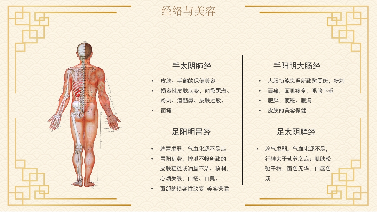 中医经络与美容8