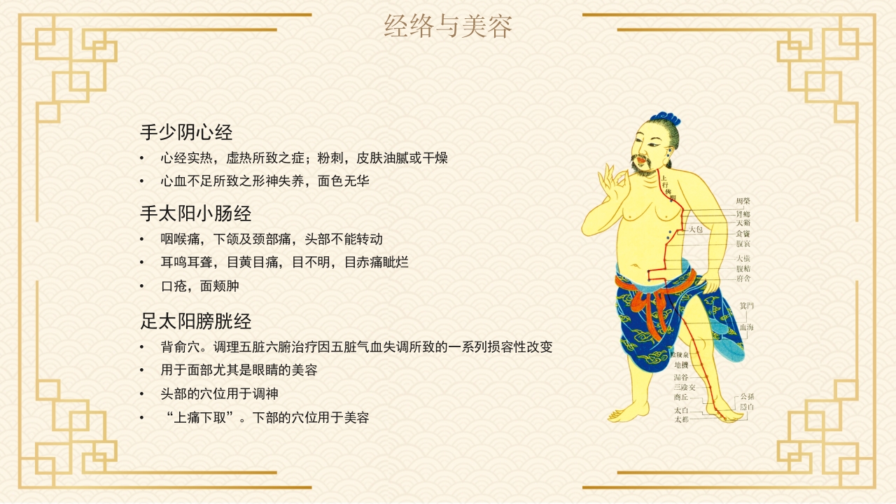 中医经络与美容9