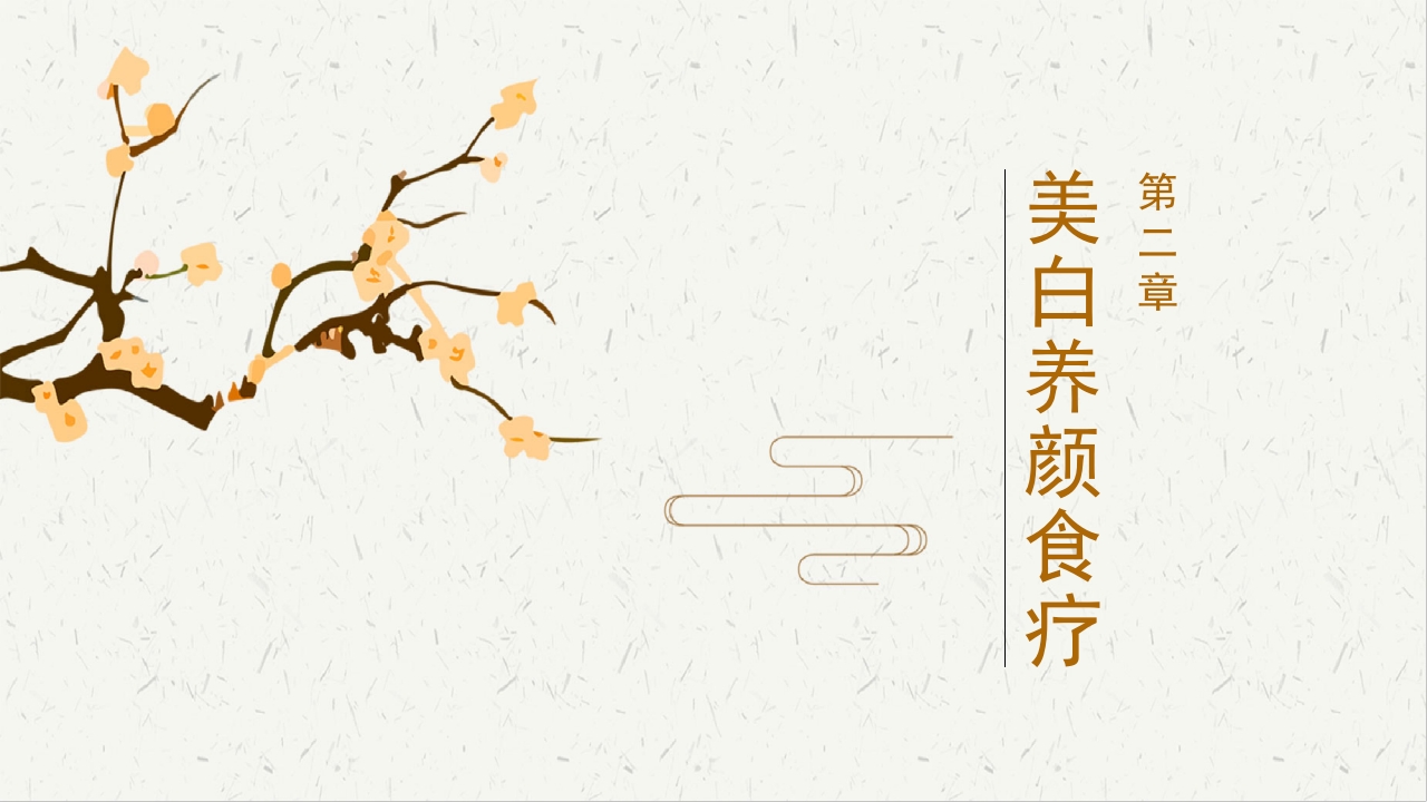 中医美容食疗篇8